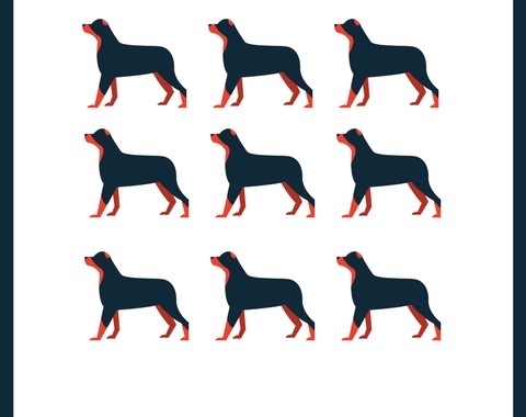 Gerard O'Shea Dog Management (flaier 1)