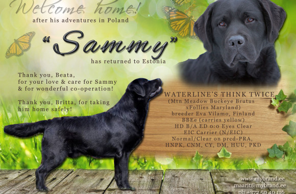 sammy-is-back-home